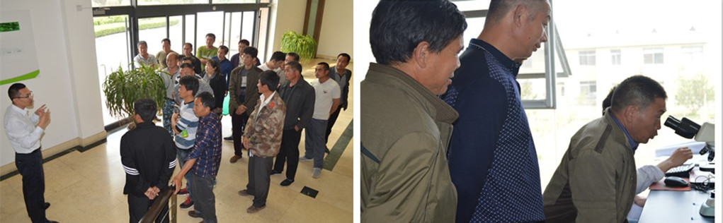 1526268898684861.jpg initpintu_副本.jpg