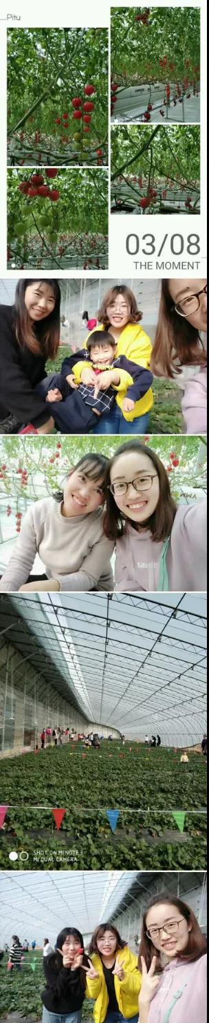 1554261535230232.jpg 3.jpg