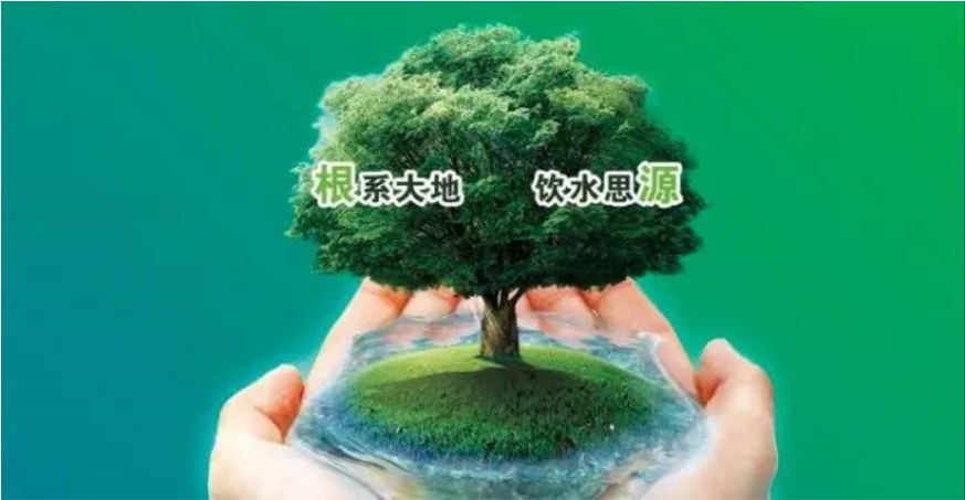 1576045203518486.jpg 1576045186(1).jpg