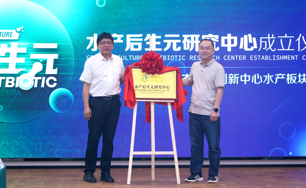 1700642463805444.png 7.png